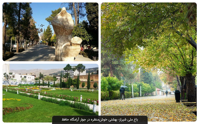 از دل طبیعت تا قلب شهر، فقط با یک کلیک